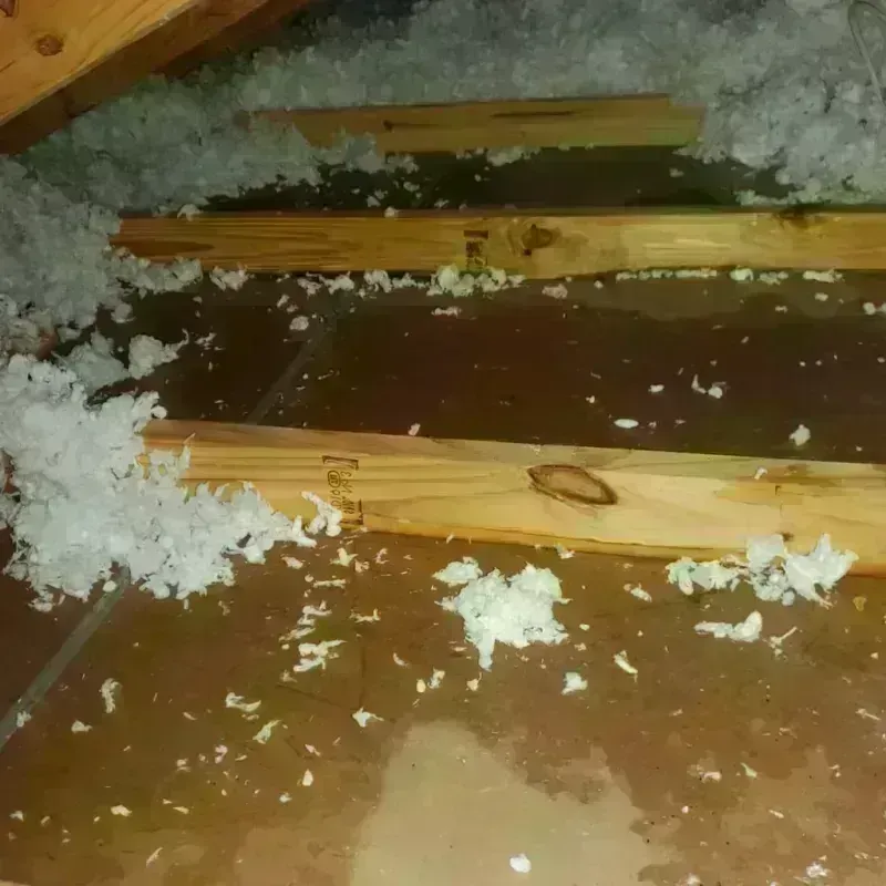 Attic Water Damage in Sheldon, ND