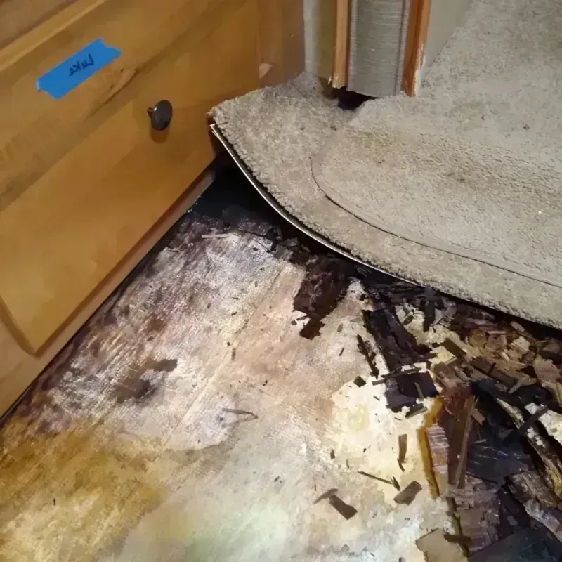 Wood Floor Water Damage in Sheldon, ND